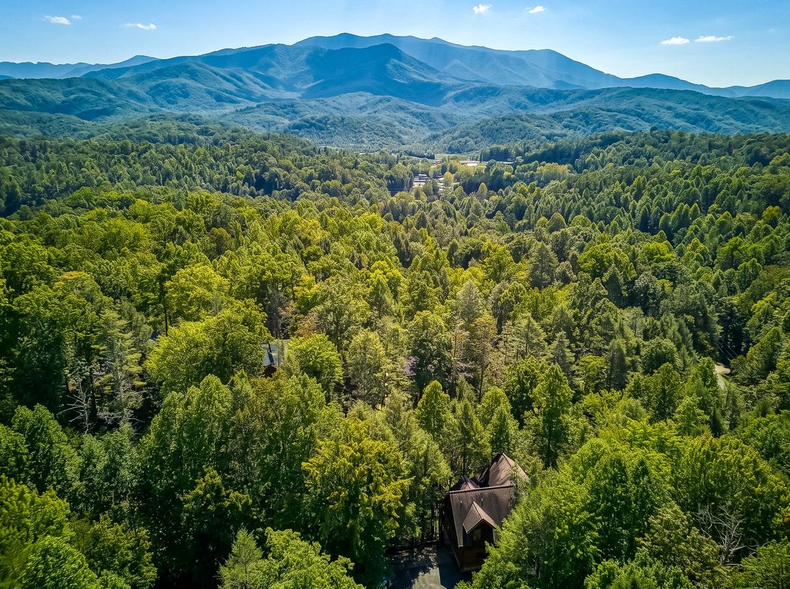 Mountain Lodge