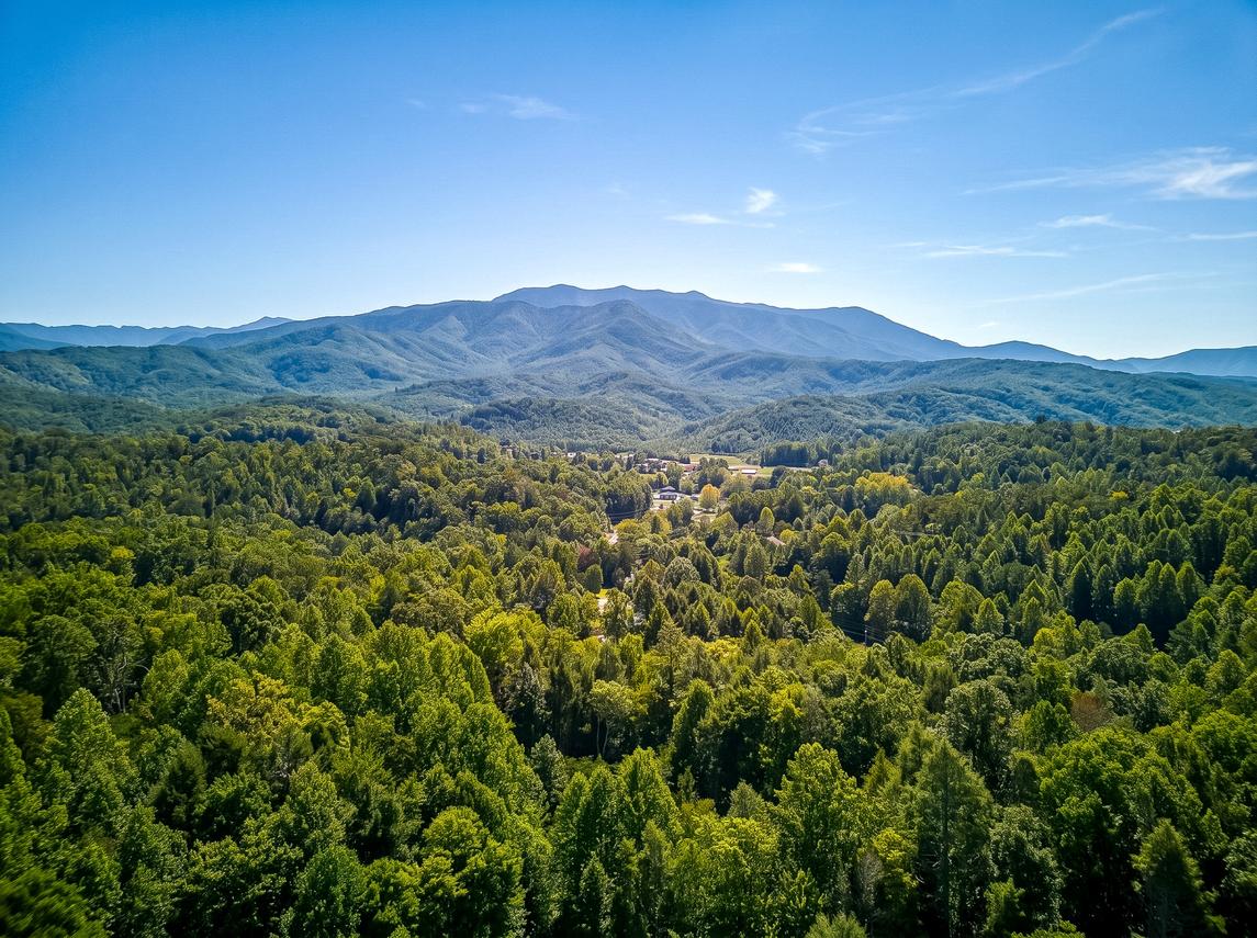 Mountain Lodge