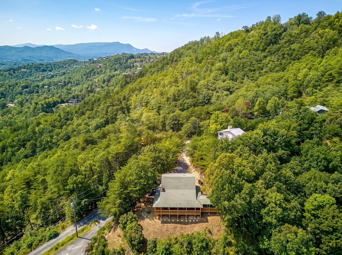 Canopy View Lodge - New Listing