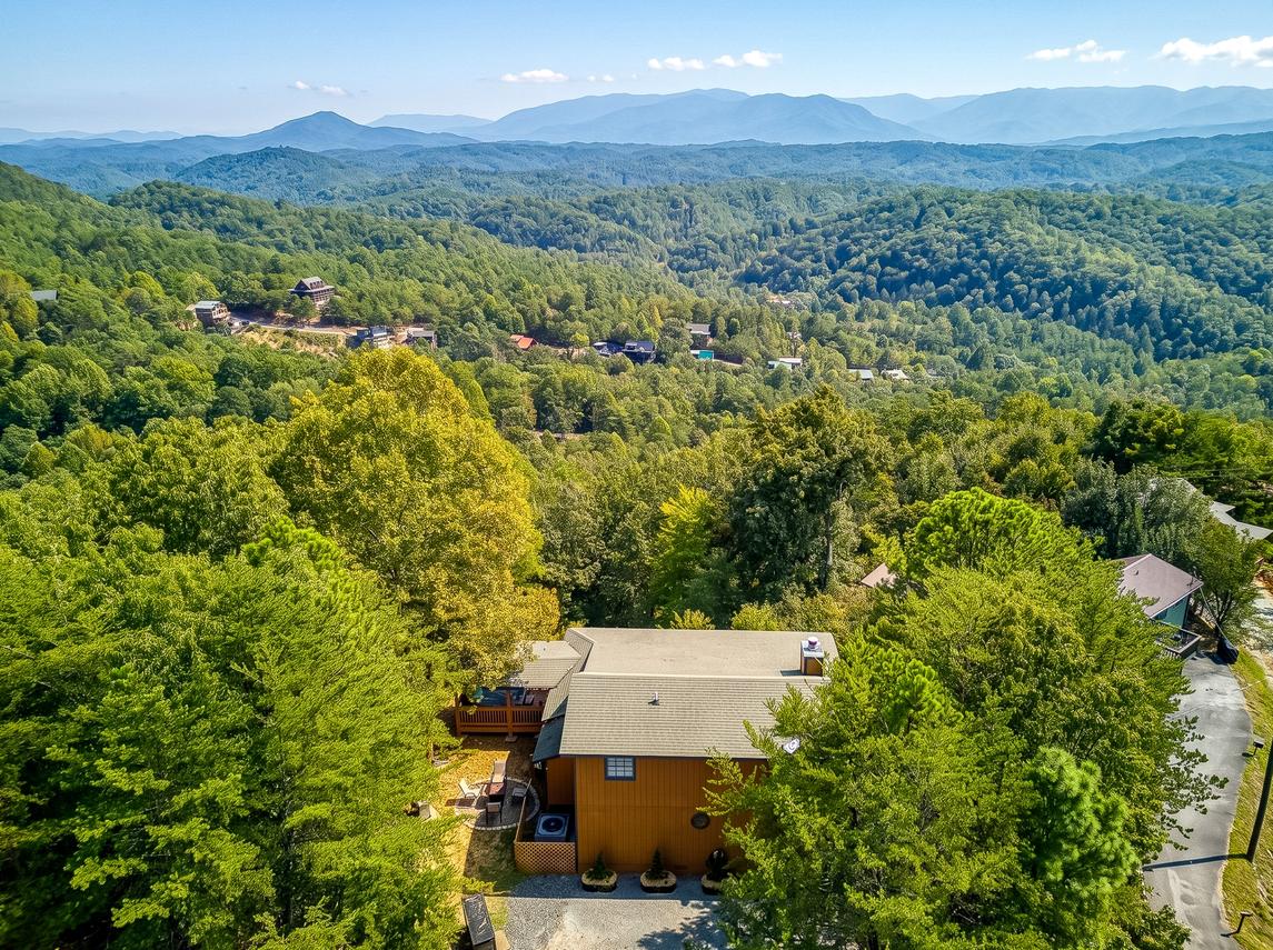 Canopy View Lodge - New Listing