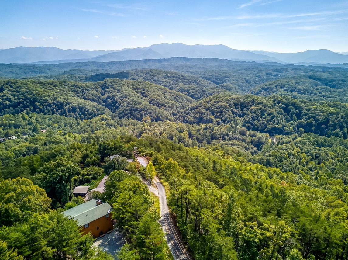 Canopy View Lodge - New Listing