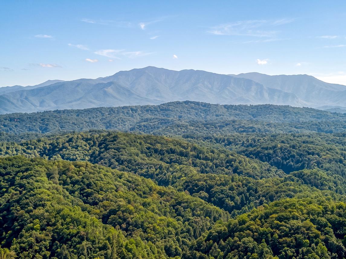 Canopy View Lodge - New Listing