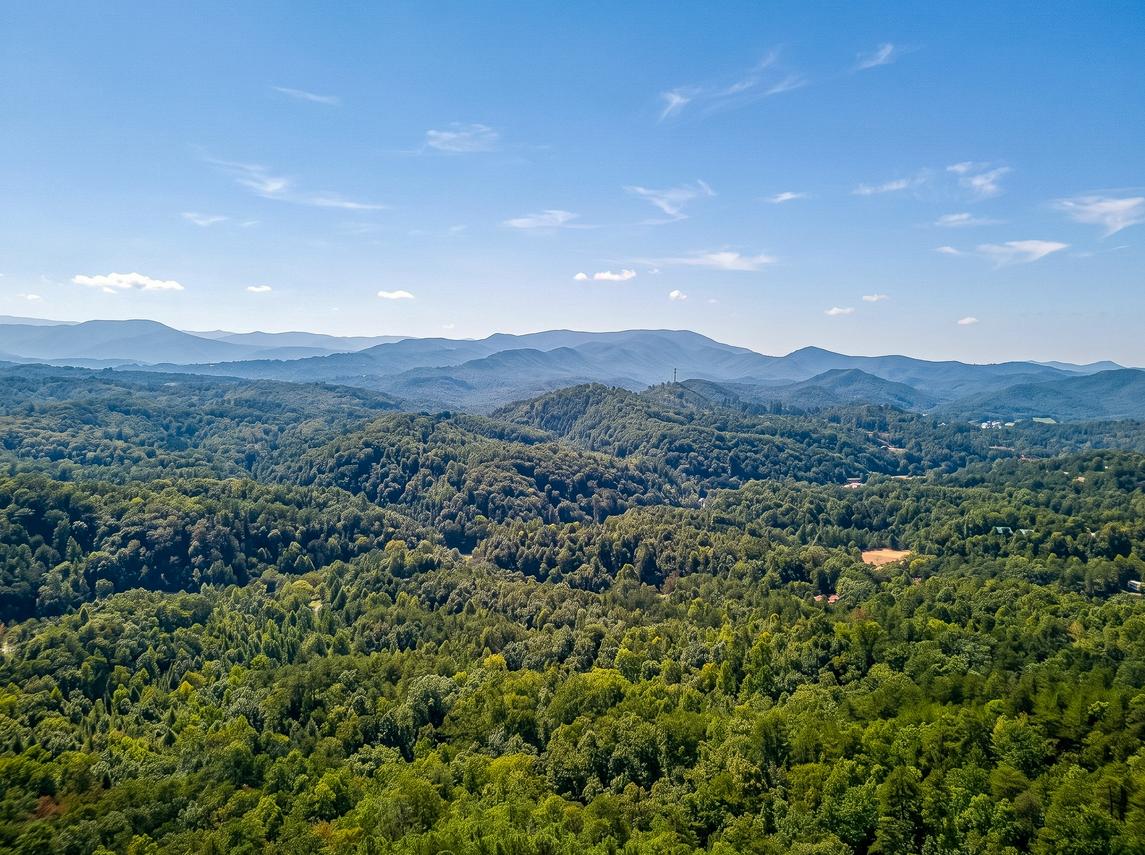 Canopy View Lodge - New Listing