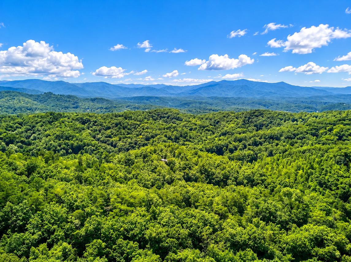 3 Peaks View - New Listing