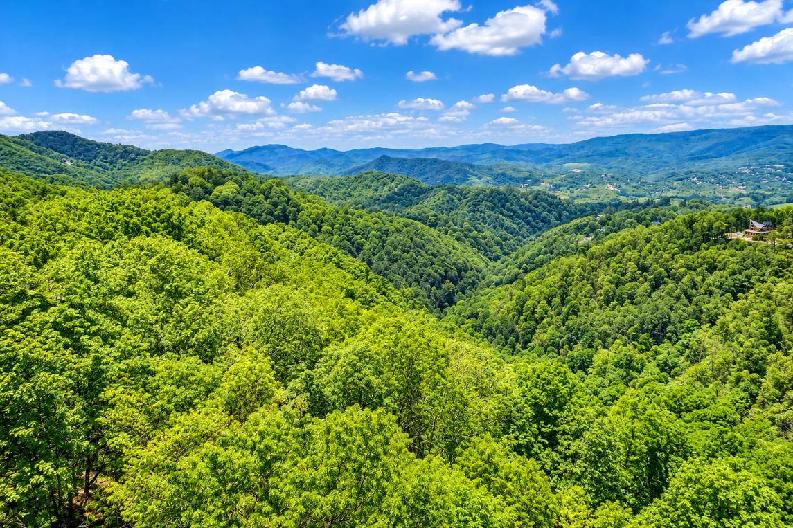 Smoky Mountain Views