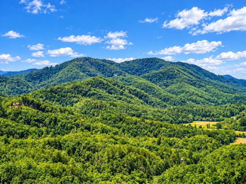 Rivers Ridge & Guest House