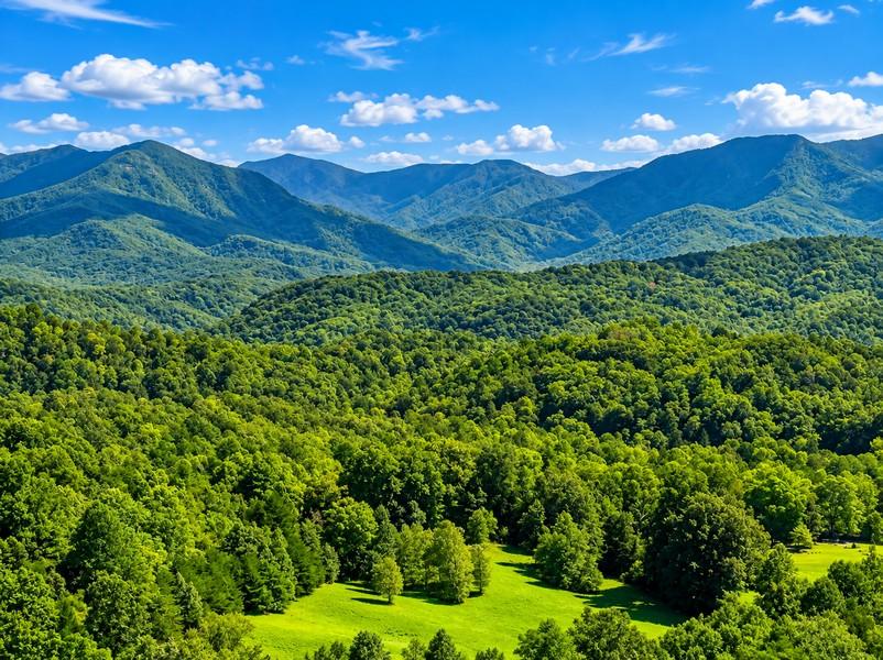Mountain Lodge - New Listing
