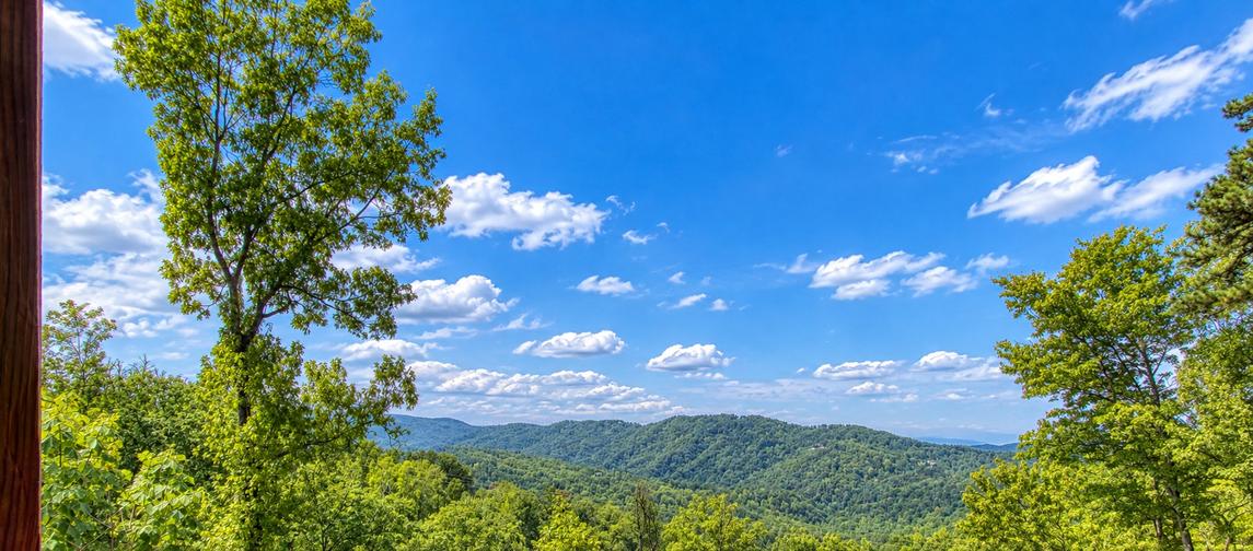 High in the Smokies - New Listing