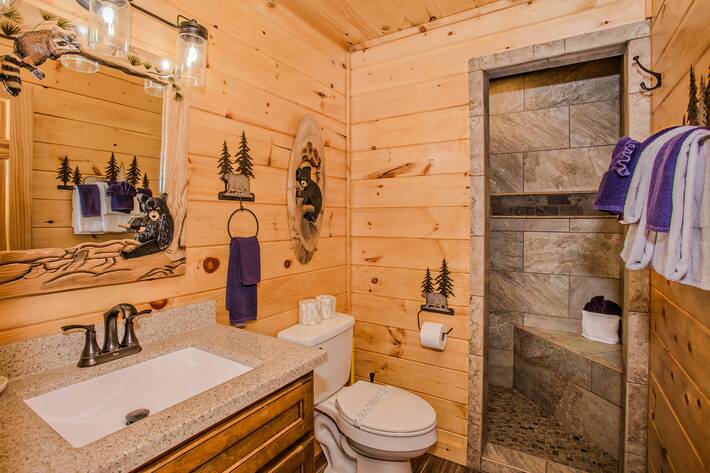 additional suite bathroom, single sink vanity, stone walk-in shower