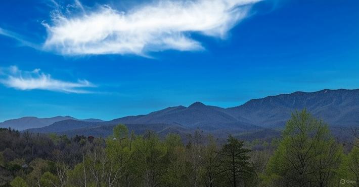 Mountain Laurel Lookout