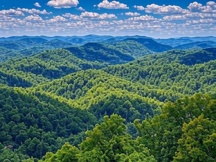 Breathtaking View