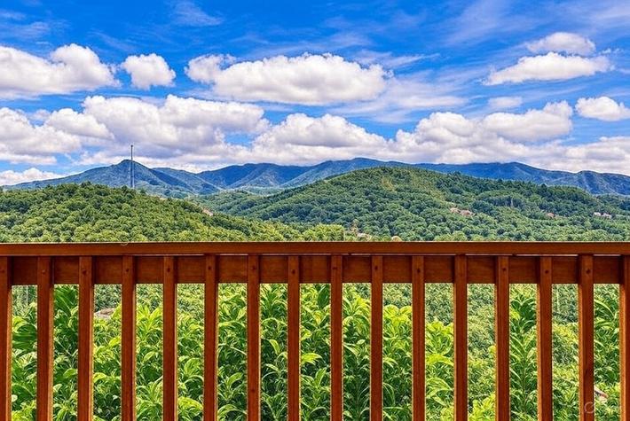 Great Smoky View