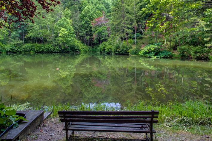 Fishin Frenzy Funhouse - New Listing 