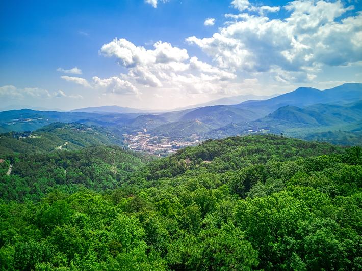 Dancing Bears Lodge - New Listing