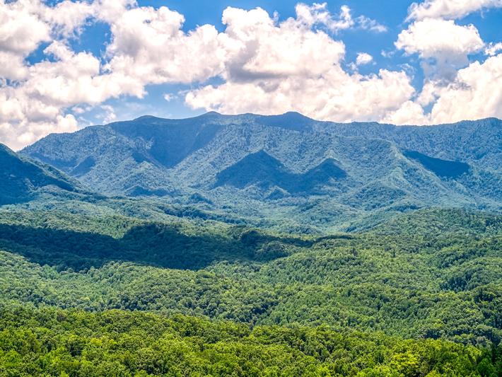 Smoky Mountain Escape - New Listing