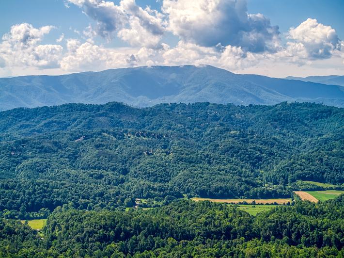 Rooms with a View - New Listing