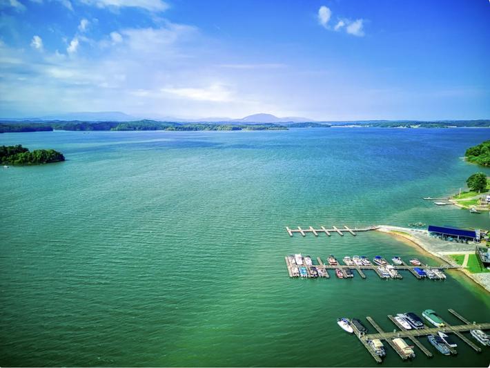 What's Your Hurry - New Listing