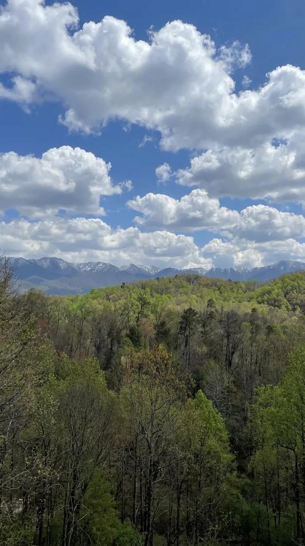 Mountain Vista - New Listing