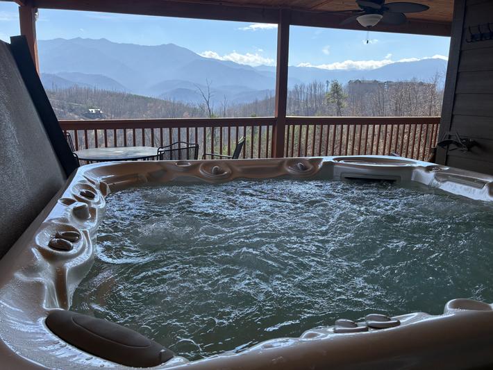 Beartastic Mountain View Lodge - New