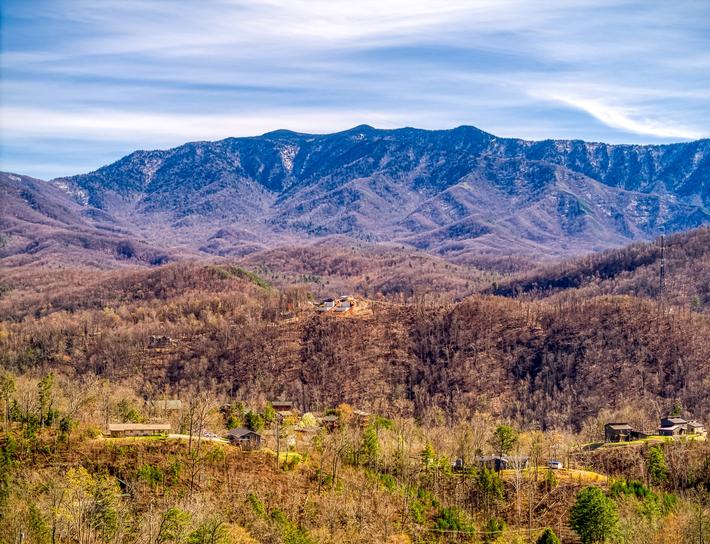 Mountain Laurel Lookout 