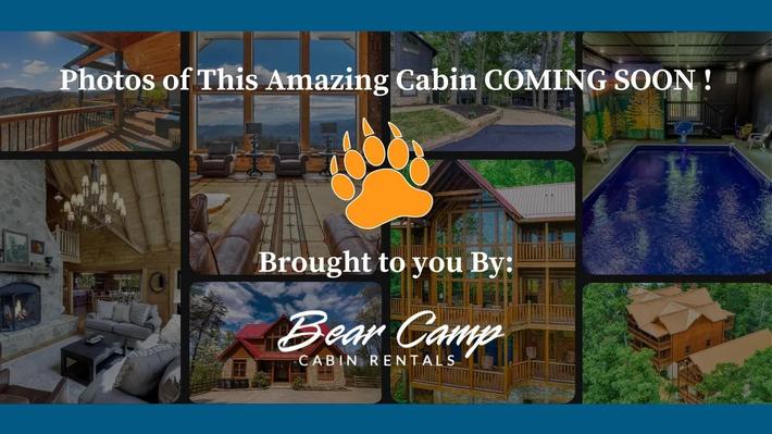 Honey Bear- New Listing