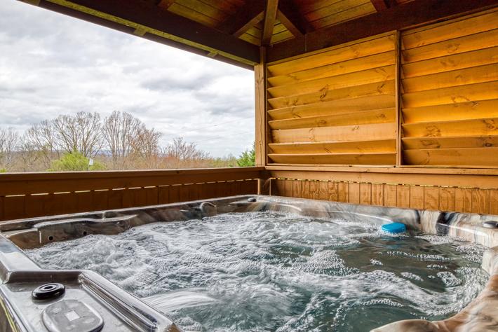 Honey Bear- New Listing