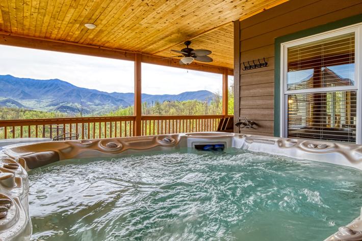 Beartastic Mountain View Lodge - New