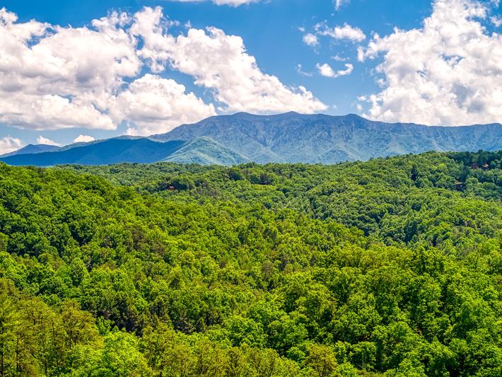 Nestled Inn - New Listing