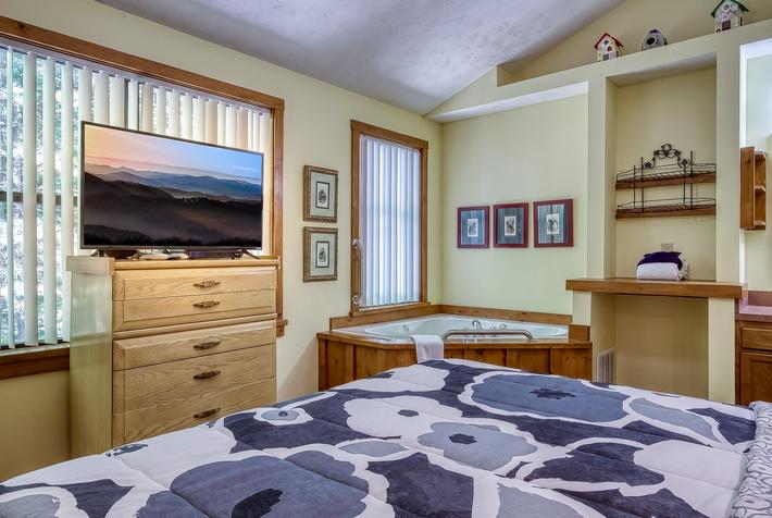 The Bird Hallar - New Listing