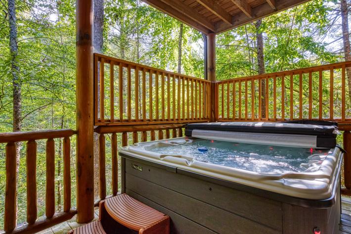 Mountain Lodge