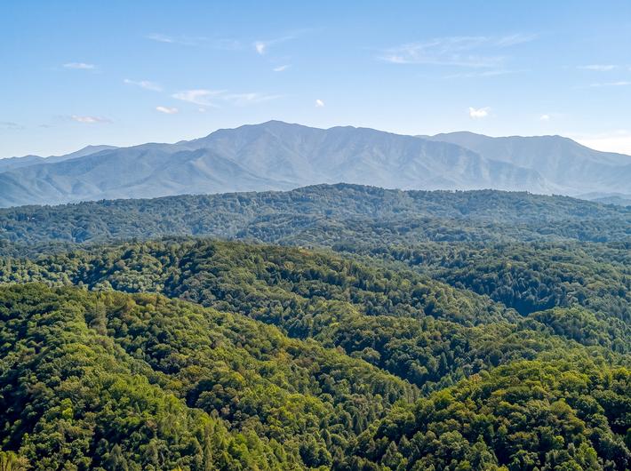 Canopy View Lodge - New Listing