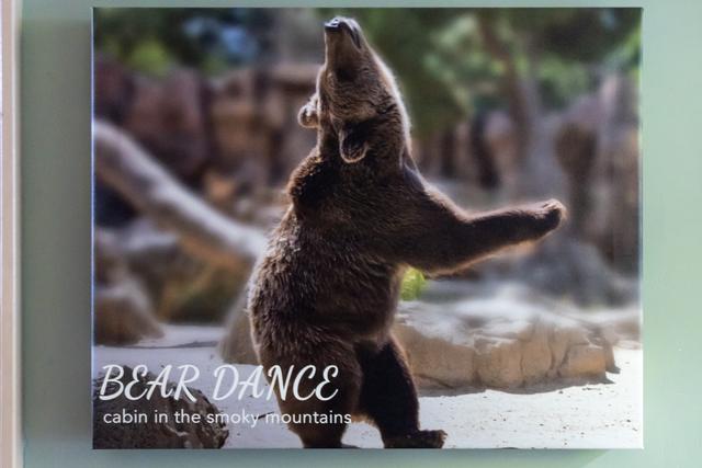 Taken at Bear Dance in Gatlinburg TN