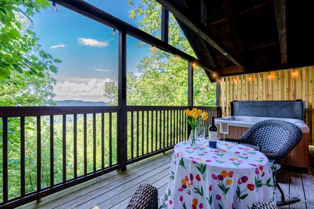 Taken at Bear Dance in Gatlinburg TN