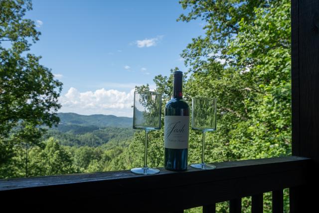 Taken at Bear Dance in Gatlinburg TN