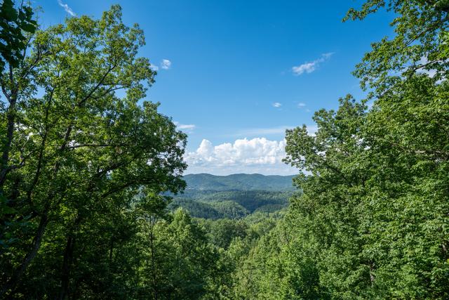 Taken at Bear Dance in Gatlinburg TN