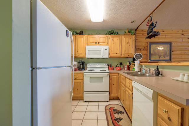 Taken at Bear Dance in Gatlinburg TN