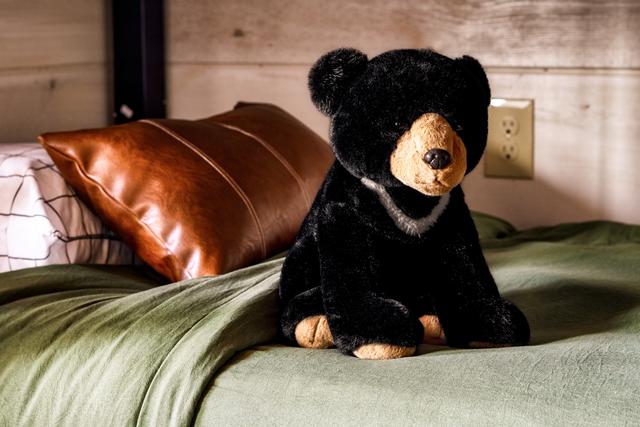 Taken at The Luxe in Gatlinburg TN