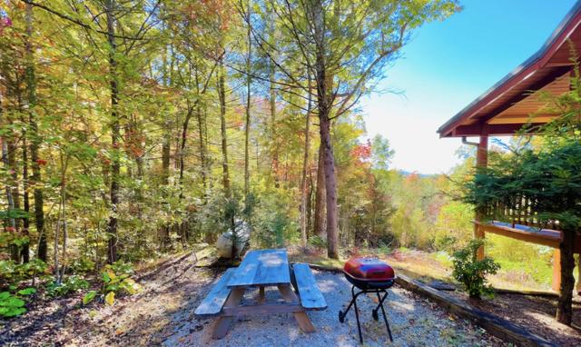 Taken at Eagles Nest in Gatlinburg TN