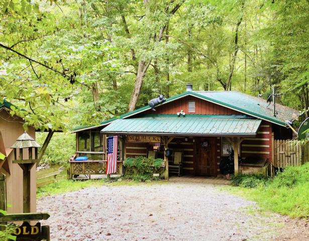 Taken at Old Bucks Riverfront Refuge in Gatlinburg TN