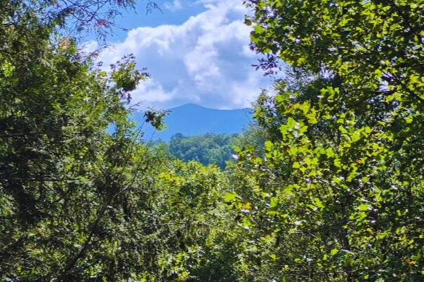 Taken at Misty Mountain View - 2 bedroom in Phase II TN