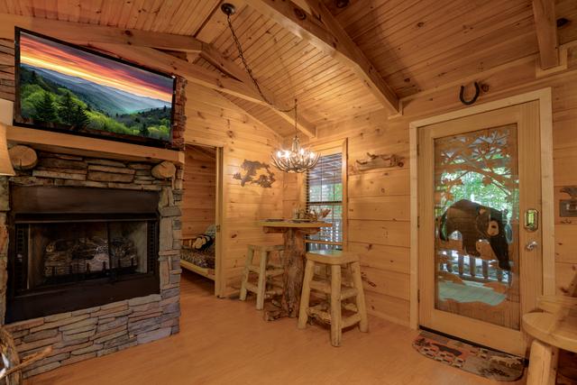 Taken at Cozy Bear in Gatlinburg TN