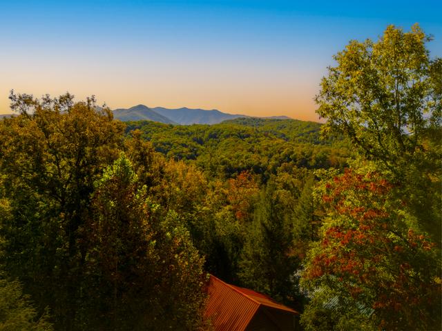 Taken at Fox's Den in Phase II TN