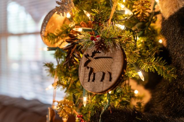 Taken at Black Bear Retreat in Near Rocky Top Sports World TN