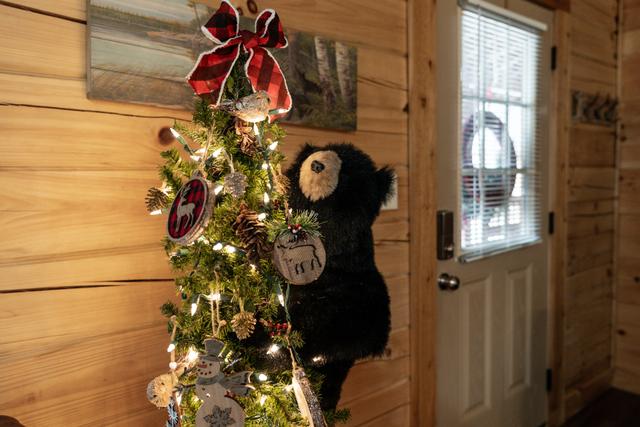 Taken at Black Bear Retreat in Near Rocky Top Sports World TN