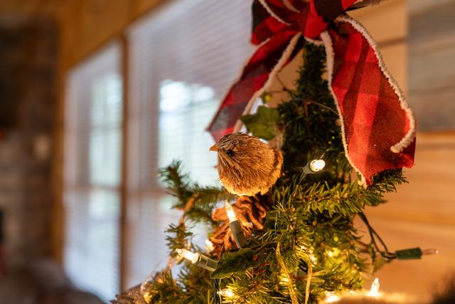 Taken at Black Bear Retreat in Near Rocky Top Sports World TN