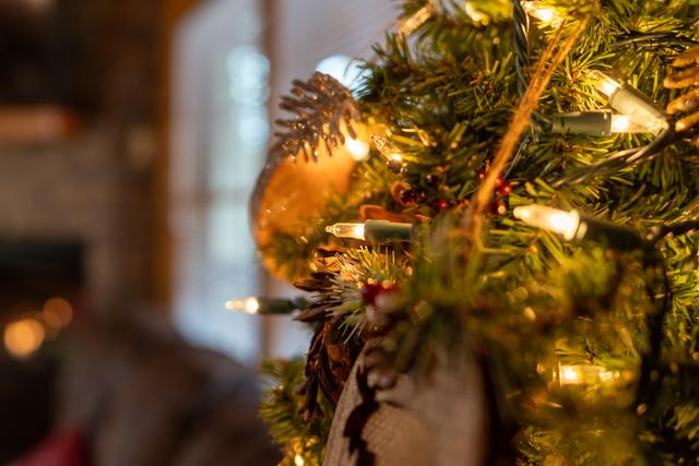 Taken at Black Bear Retreat in Near Rocky Top Sports World TN