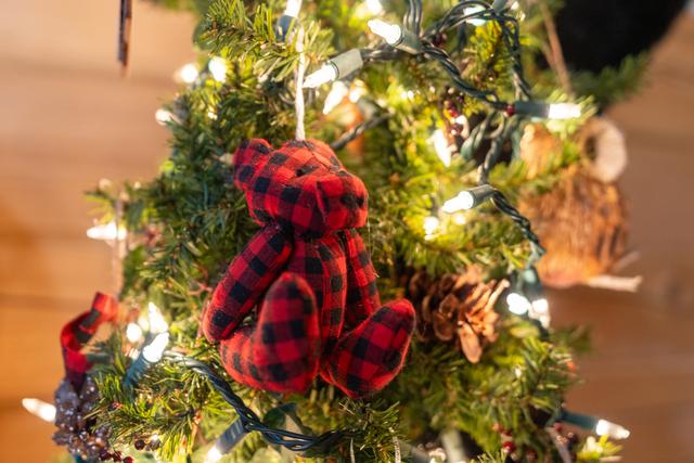 Taken at Black Bear Retreat in Near Rocky Top Sports World TN