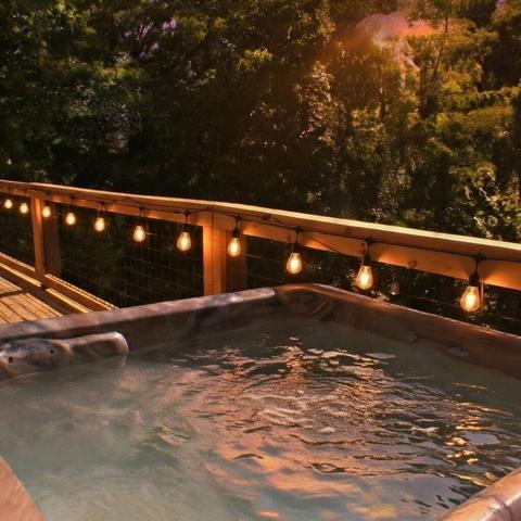 Taken at Alpine Air in Downtown Gatlinburg TN