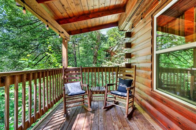 Taken at Cubs in the Treetops in Phase II TN