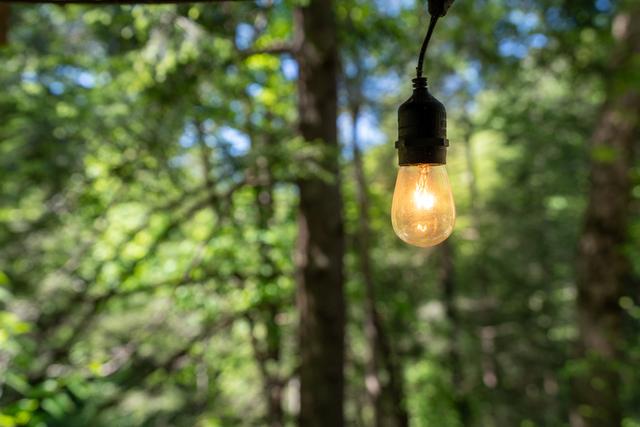 Taken at Cubs in the Treetops in Phase II TN